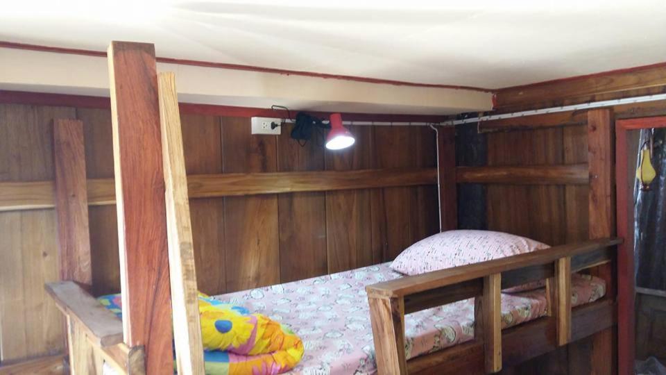 Cactus Hostel Чиангмай Экстерьер фото