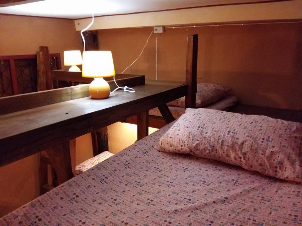 Cactus Hostel Чиангмай Экстерьер фото